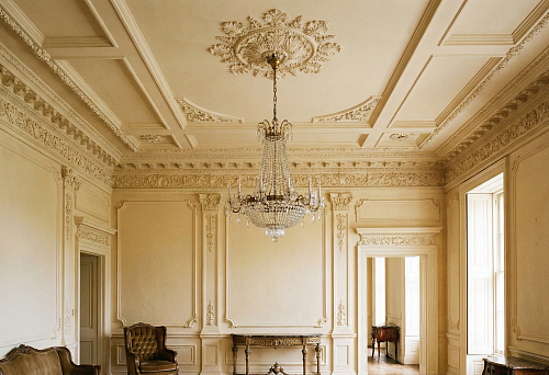 интерьер с лепными панелями и оформленным потолком